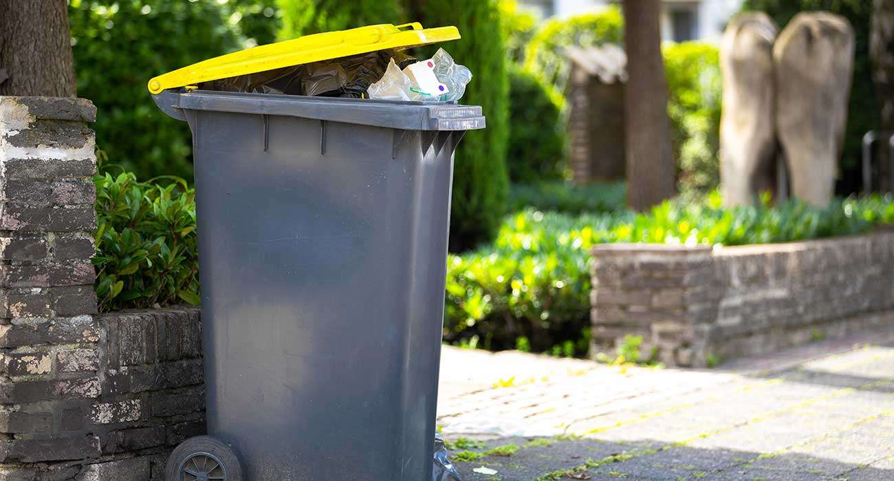 Container inkl. günstiger Entsorgung von Mischmüll und Verpackungsmüll in Hanau